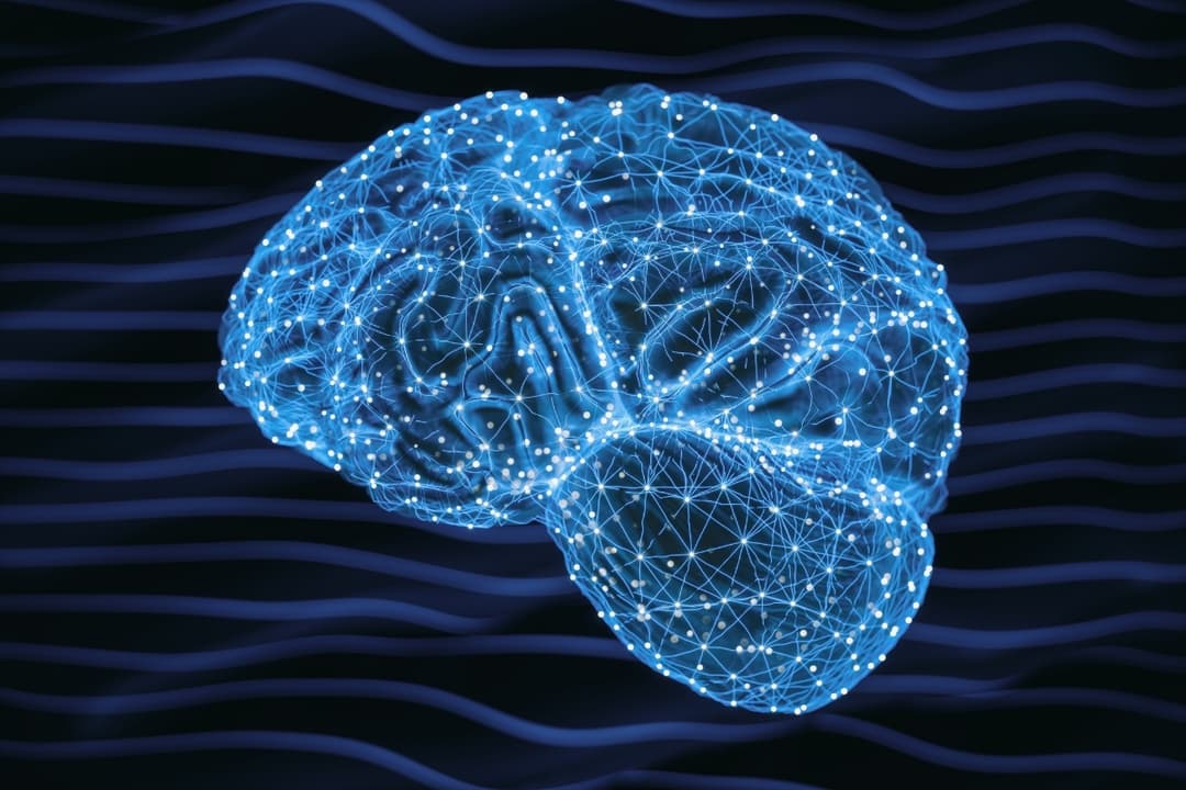 Deep Learning
