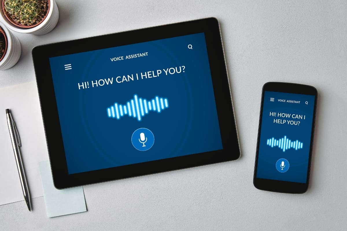 Voice Commerce